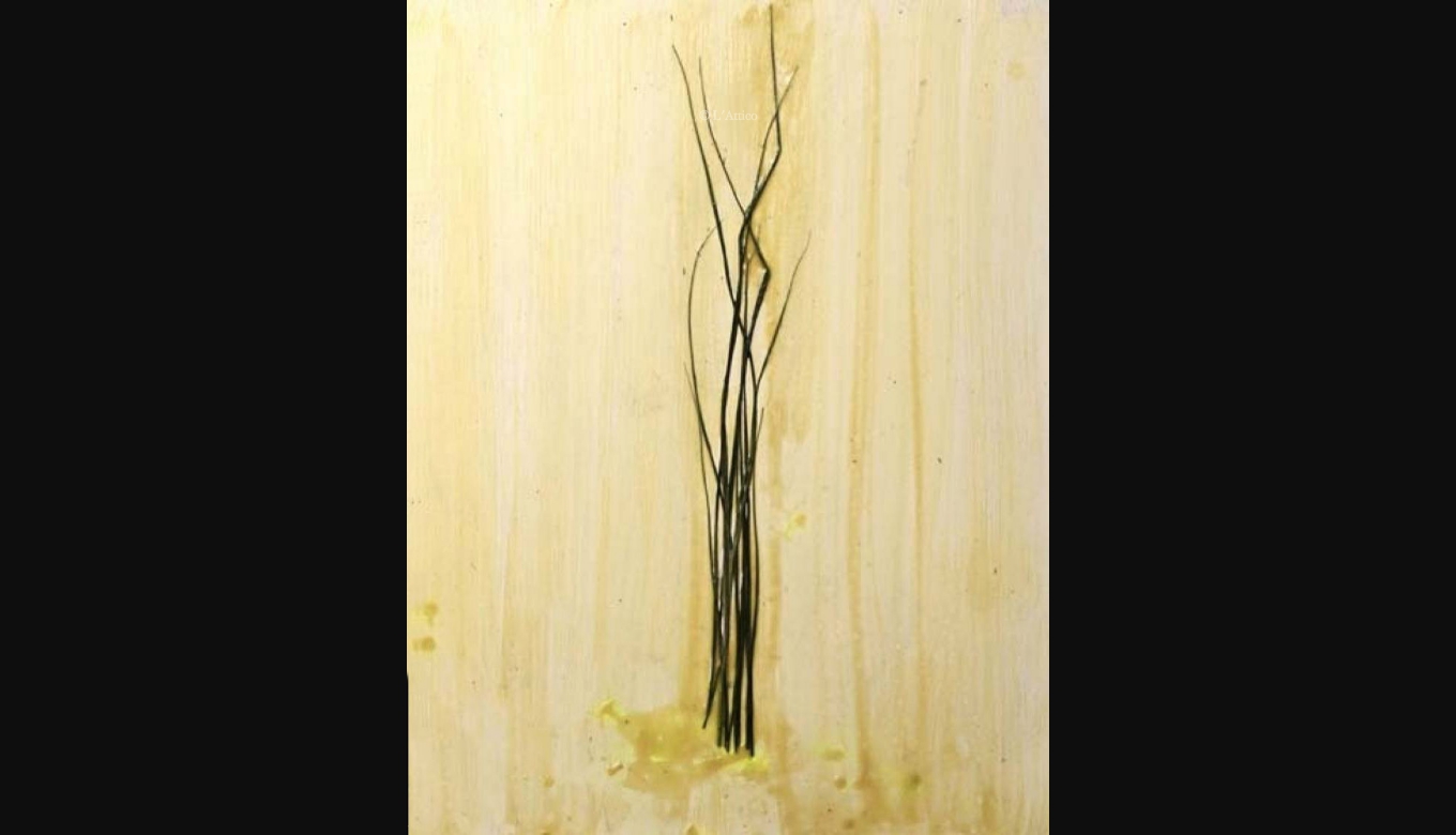Claudio Palmieri, Segni d’erba, 2010, cera, pigmenti ed erba Claudio Palmieri, Segni d’erba, 2010, cera, pigmenti ed erba