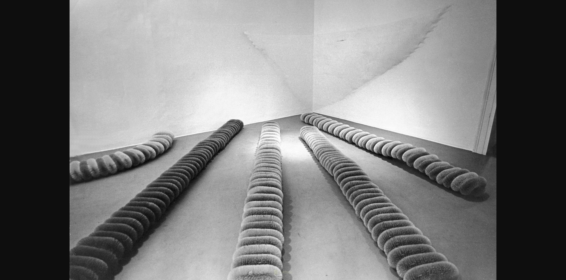 Bachi da setola ed altri lavori in corso, marzo 1968, L'Attico