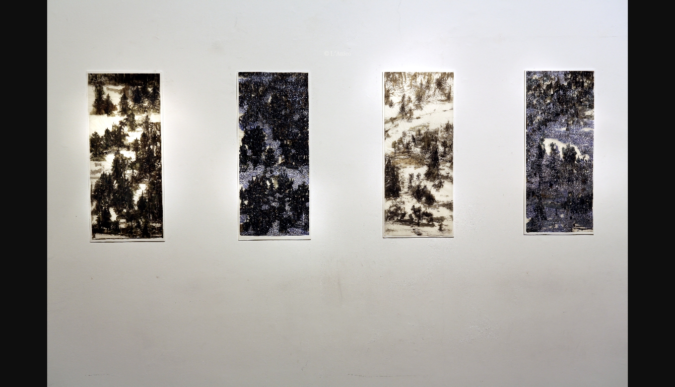 Maurizio Corona, Taiga, 2010-2011, tecnica mista su carta cechidipingeQ1