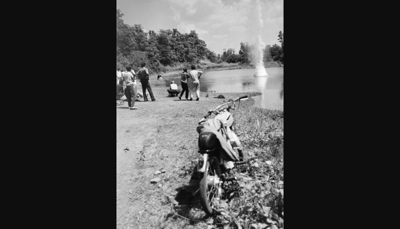 festivalmusicadanzavoloq5