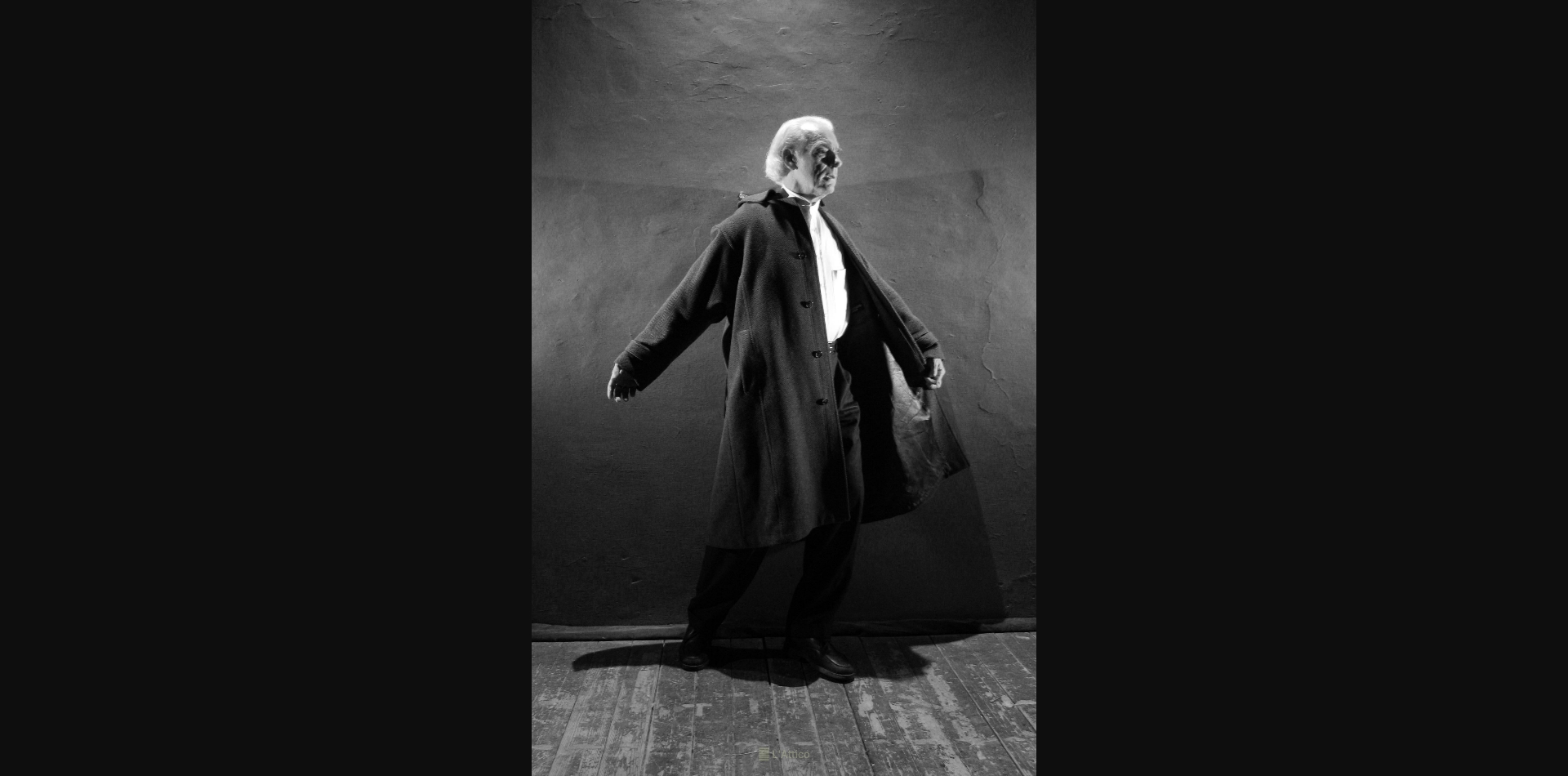 Il cappotto 2