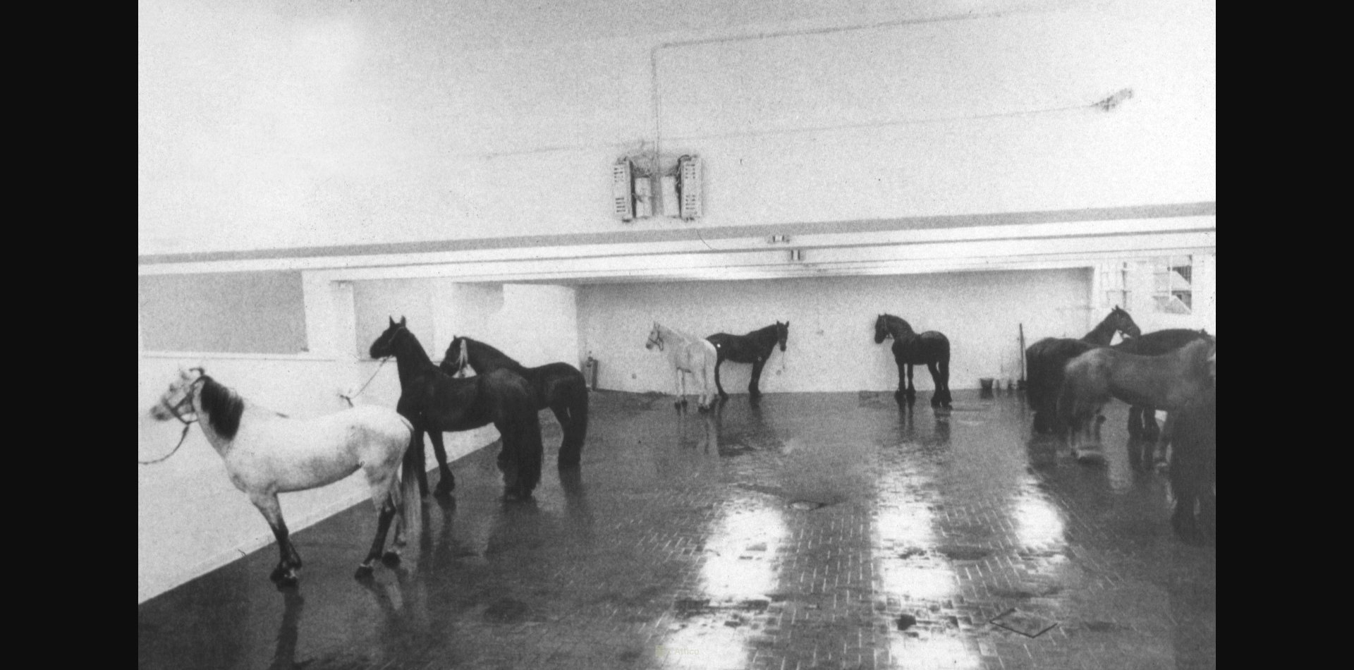 Kounellis,cm280x450