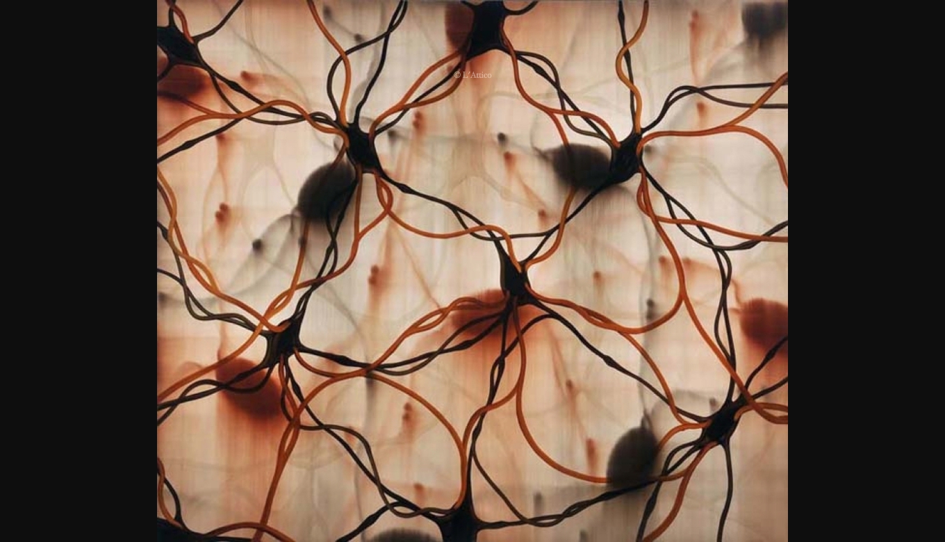 Mark Francis, Symphony, 2004, olio su tela spore_atomi_stelleQ0